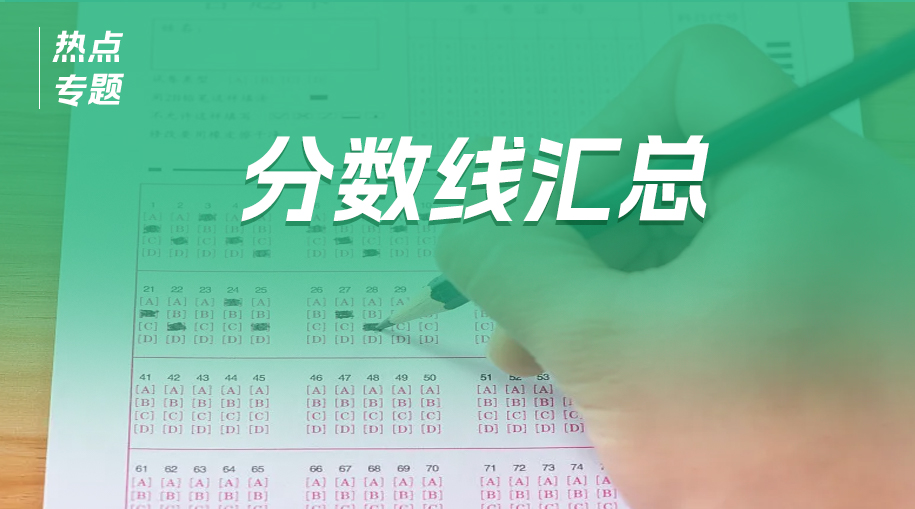 [演示] 历年分数查询