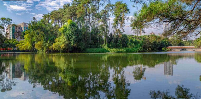 广西机电职业技术学院校园图片1