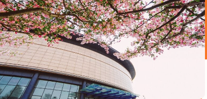 浙大城市学院校园图片1