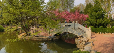 东北财经大学校园图片1